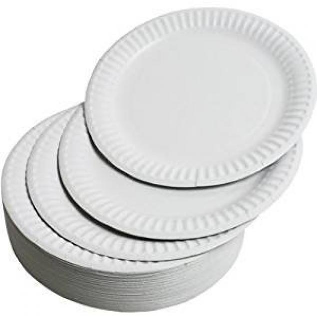 Disposable Plates Small